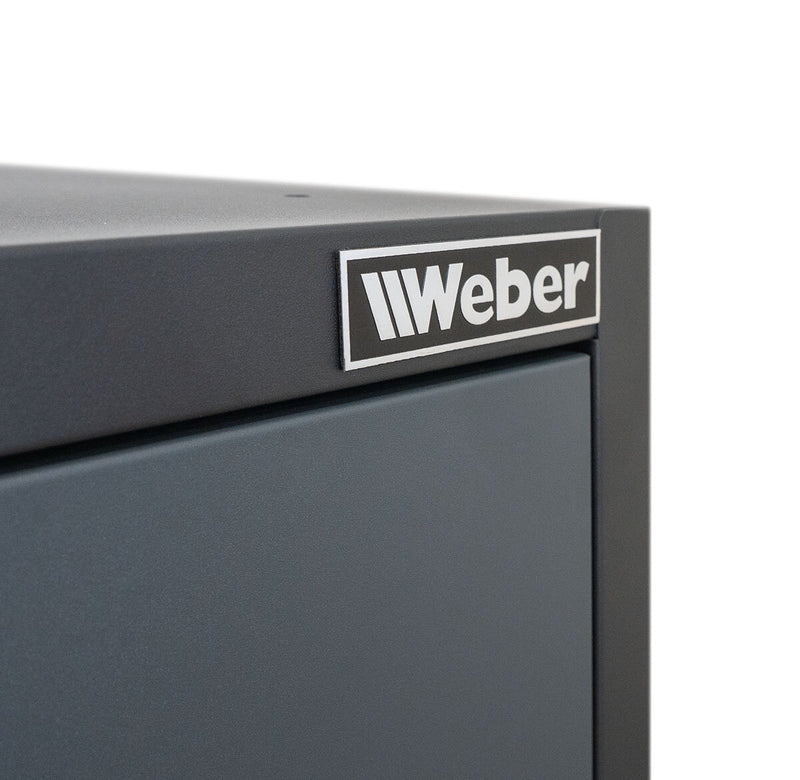 Professional tool cabinet series 610 with 2 doors, grey